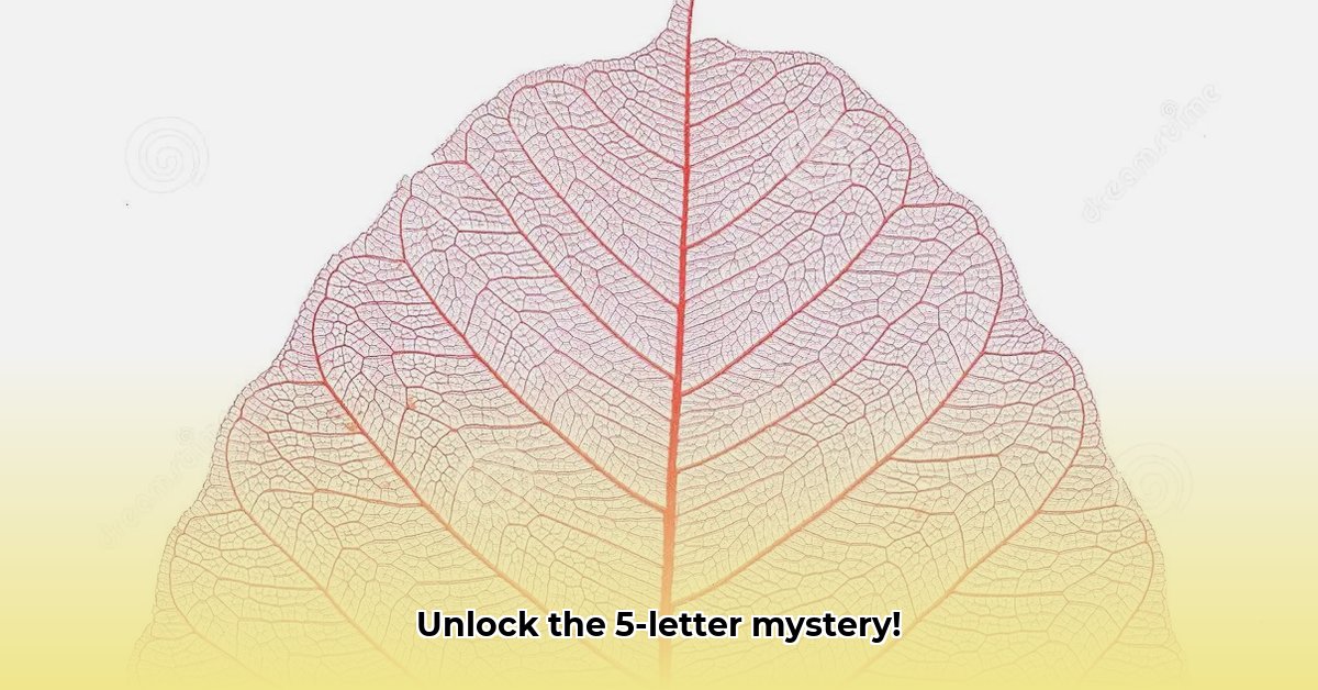 transparant-blad-5-letters